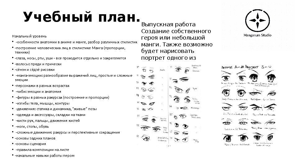 Учебный план. Начальный уровень •  -особенности анатомии в аниме и манге, разбор различных