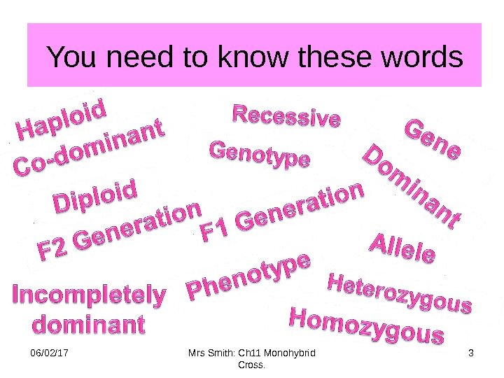 You need to know these words 06/02/17 Mrs Smith: Ch 11 Monohybrid Cross. 3