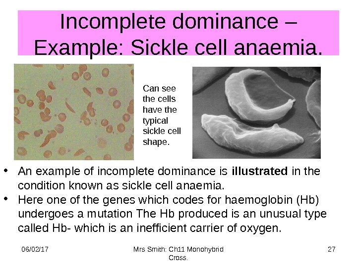 Incomplete dominance – Example: Sickle cell anaemia. 06/02/17 27 Mrs Smith: Ch 11 Monohybrid