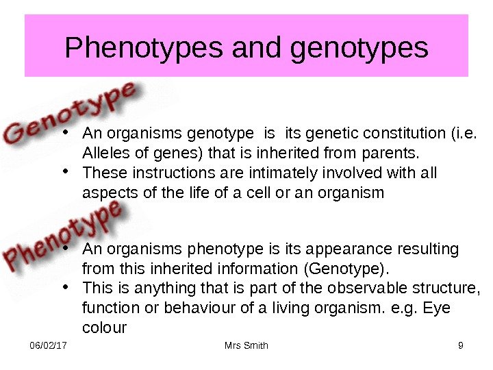 Phenotypes and genotypes 06/02/17 Mrs Smith 9  • An organisms phenotype is its
