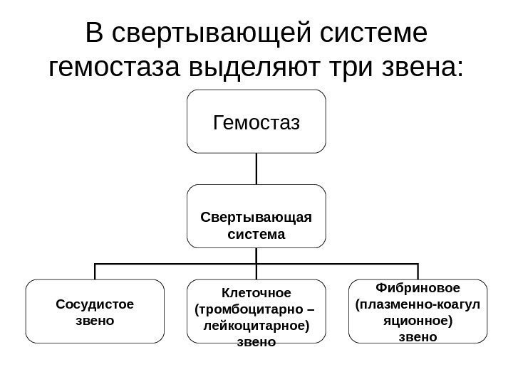   В свертывающей системе гемостаза выделяют три звена: Гемостаз Свертывающая система Сосудистое звено