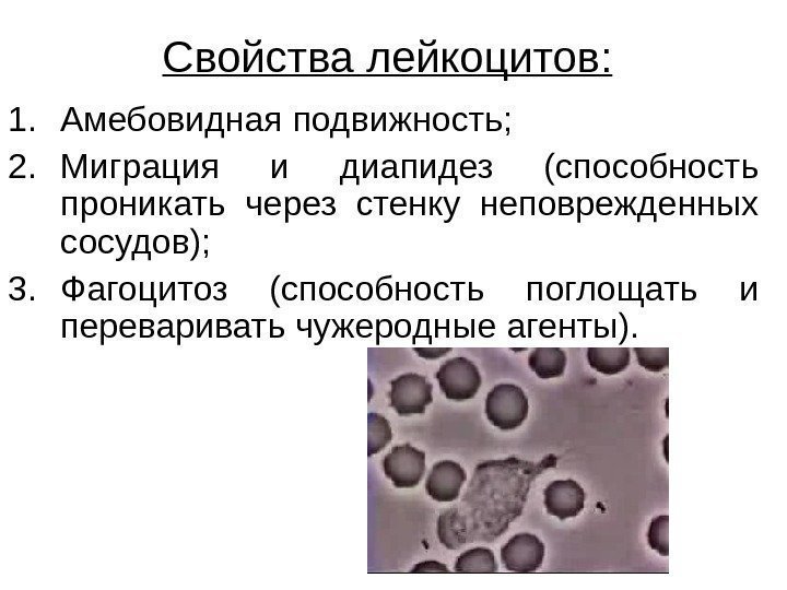   Свойства лейкоцитов:  1. Амебовидная подвижность; 2. Миграция и диапидез (способность проникать