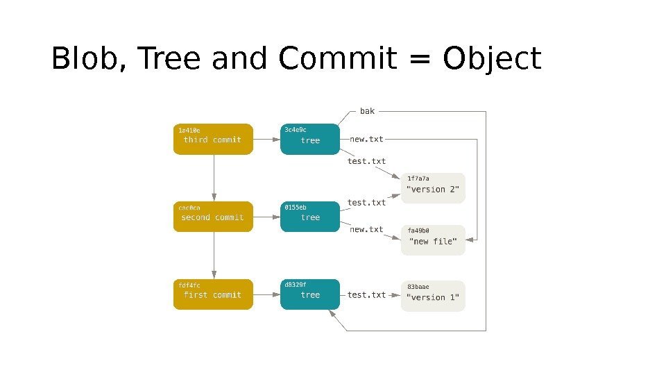 Blob, Tree and Commit = Object 