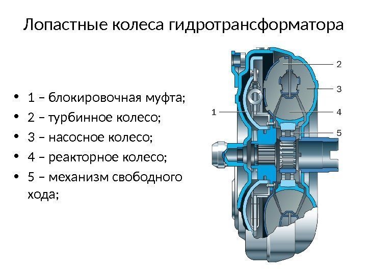 Лопастные колеса гидротрансформатора • 1 – блокировочная муфта;  • 2 – турбинное колесо;