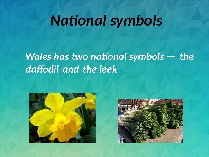 National symbols  Wales has two national symbols — the dafodil and the
