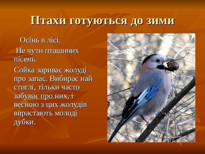   Птахи готуються до зими   Осінь в лісі.   Не