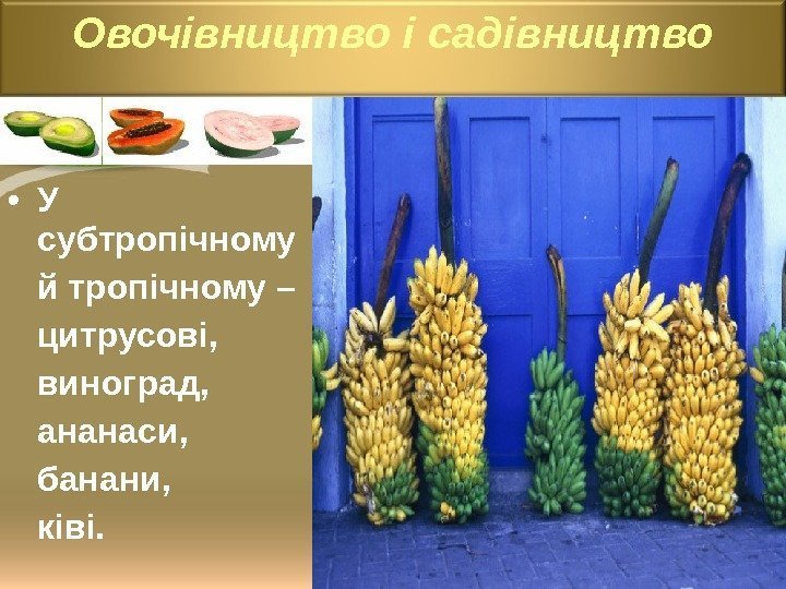  • У субтропічному й тропічному – цитрусові,  виноград,  ананаси,  банани,