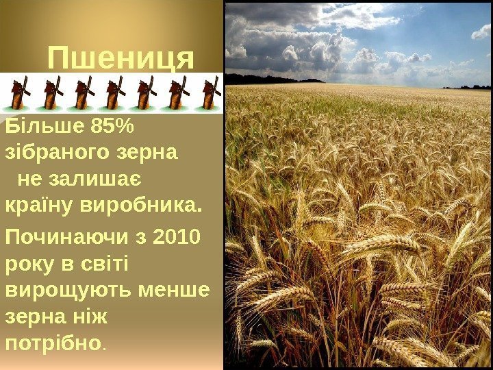   Пшениця Більше 85 зібраного зерна   не залишає країну виробника. Починаючи