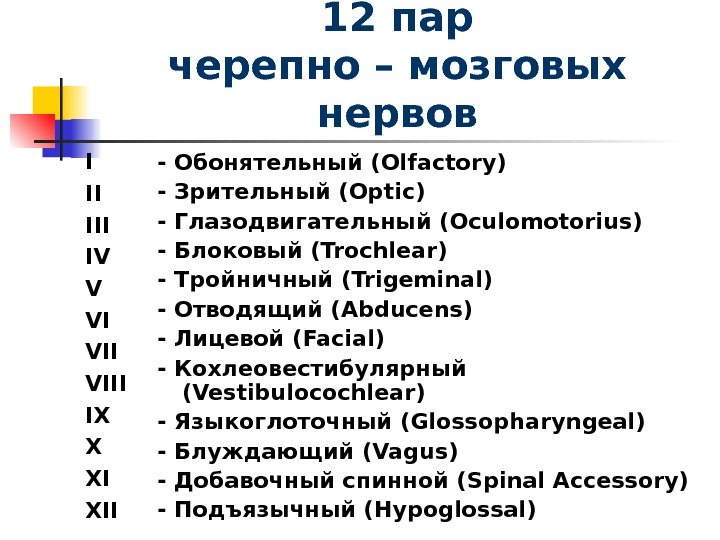 12 пар черепно – мозговых нервов I II IV V VI VIII IX X