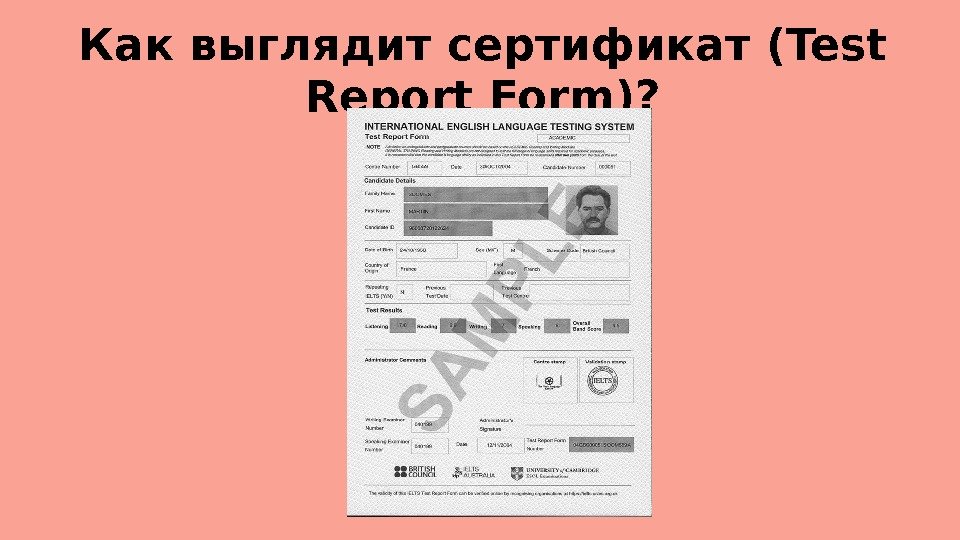 Как выглядит сертификат (Test Report Form)? 