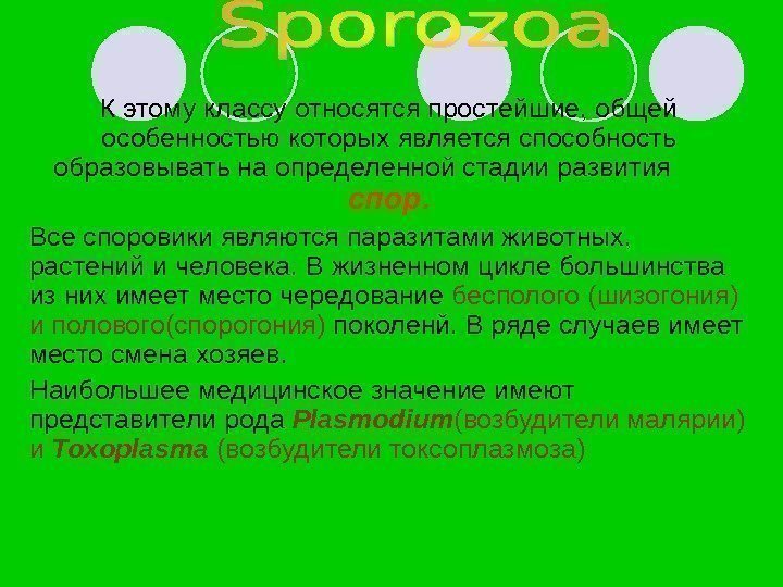   К этому классу относятся простейшие, общей особенностью которых является способность образовывать на