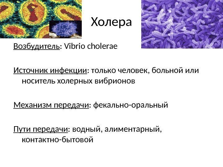 Холера Возбудитель : Vibrio cholerae Источник инфекции : только человек, больной или носитель холерных