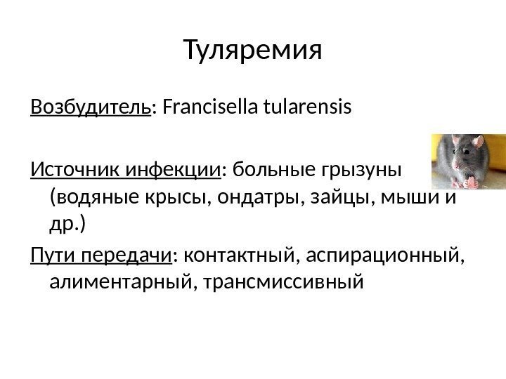 Туляремия Возбудитель : Francisella tularensis Источник инфекции : больные грызуны (водяные крысы, ондатры, зайцы,