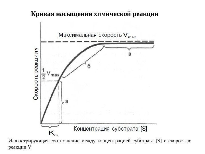 Кривая насыщения химической реакции Иллюстрирующая соотношение между концентрацией субстрата [S] и скоростью реакции V