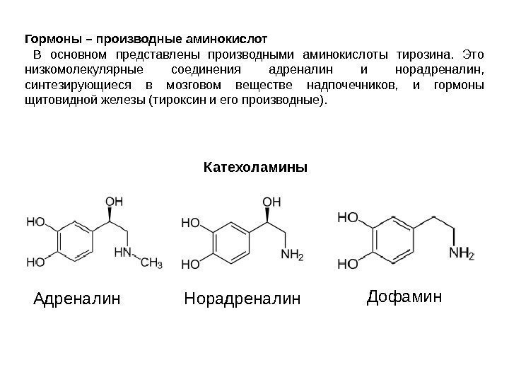 Гормоны – производные аминокислот  В основном представлены производными аминокислоты тирозина.  Это низкомолекулярные