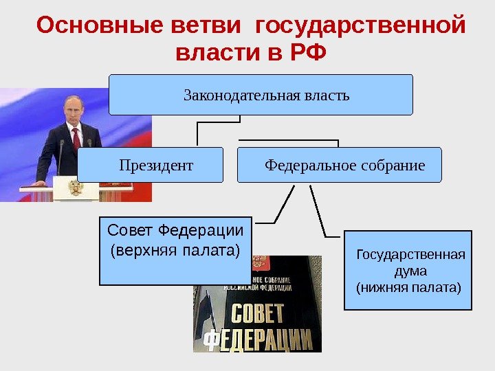 Основные ветви государственной власти в РФ Государственная дума (нижняя палата) Совет Федерации (верхняя палата)