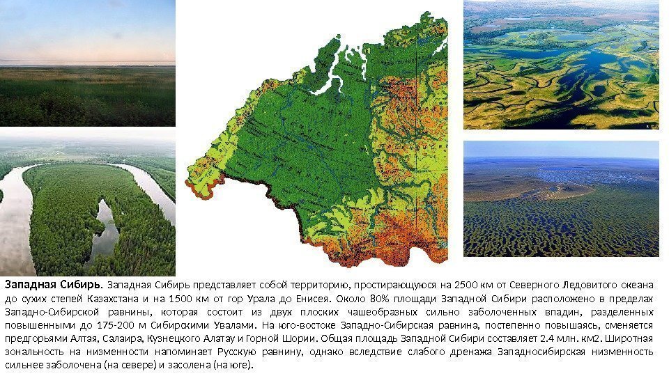 Западная Сибирь.  Западная Сибирь представляет собой территорию,  простирающуюся на 2500 км от
