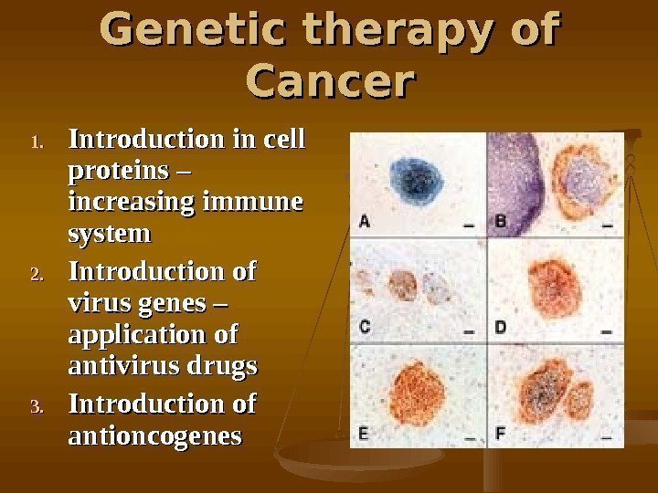   Genetic therapy of Cancer 1. 1. Introduction in cell proteins – increasing