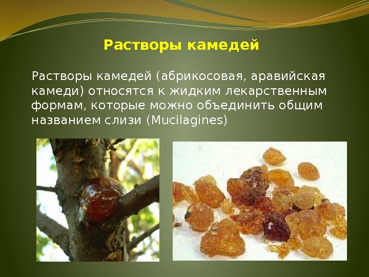 Растворы камедей (абрикосовая, аравийская камеди) относятся к жидким лекарственным формам, которые можно объединить общим