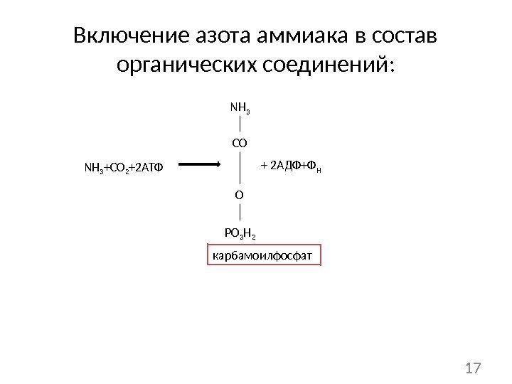 Включение азота аммиака в состав органических соединений: NH 3 CO ONH 3 +CO 2