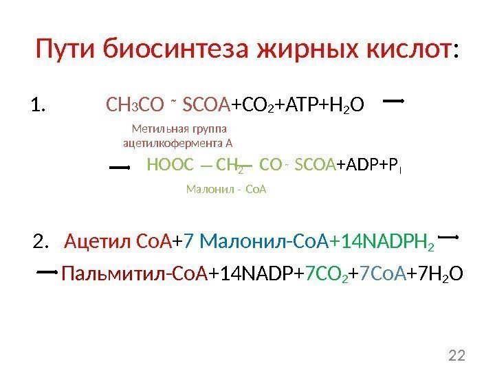 Пути биосинтеза жирных кислот : 1.   СН 3 СО ῀ SCOA +CO