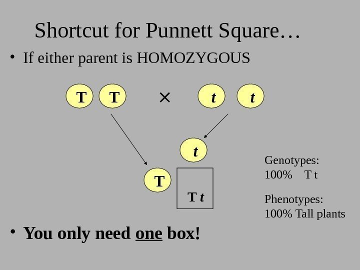 Shortcut for Punnett Square… • You only need one box! T  T 