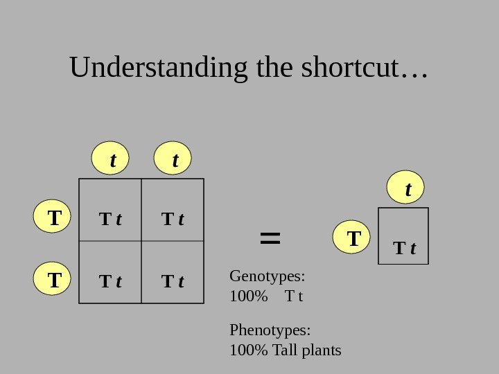 Understanding the shortcut…  T   t T t T t T 