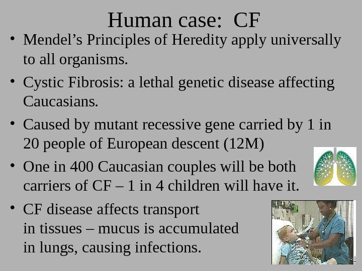 Human case:  CF • Mendel’s Principles of Heredity apply universally to all organisms.