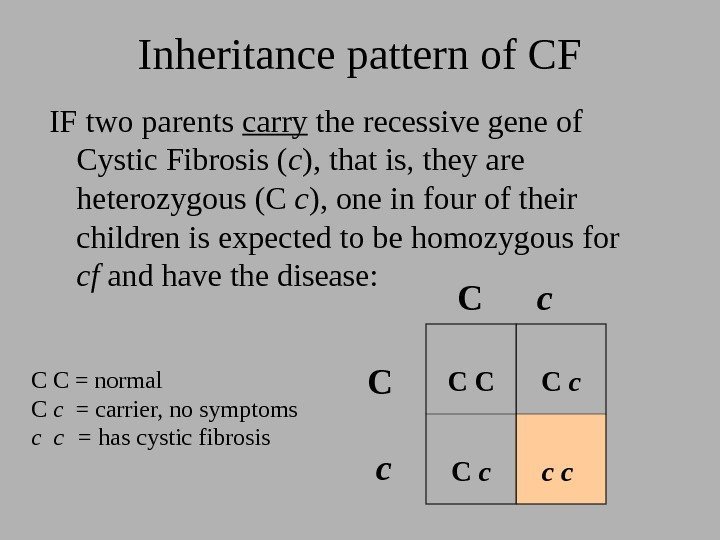 Inheritance pattern of CF IF two parents carry the recessive gene of Cystic Fibrosis