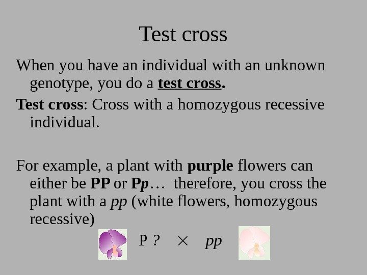 Test cross When you have an individual with an unknown genotype, you do a