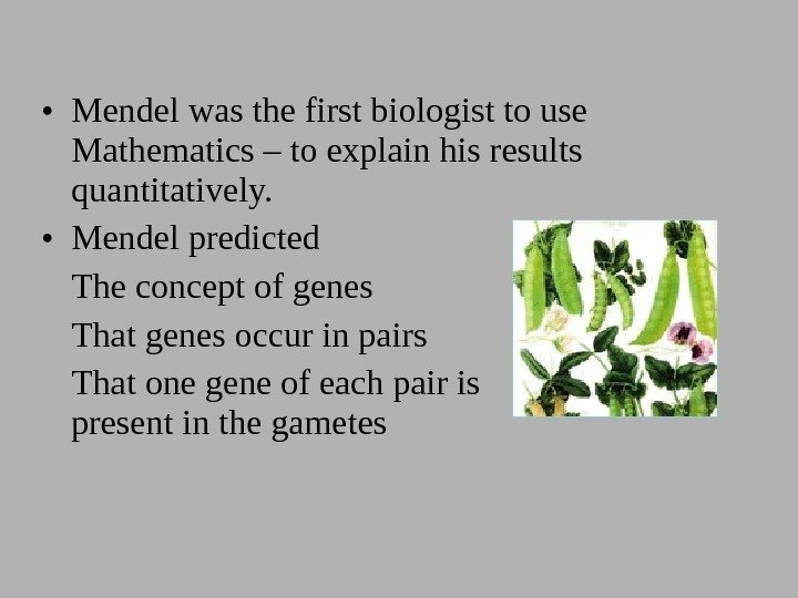  • Mendel was the first biologist to use Mathematics – to explain his