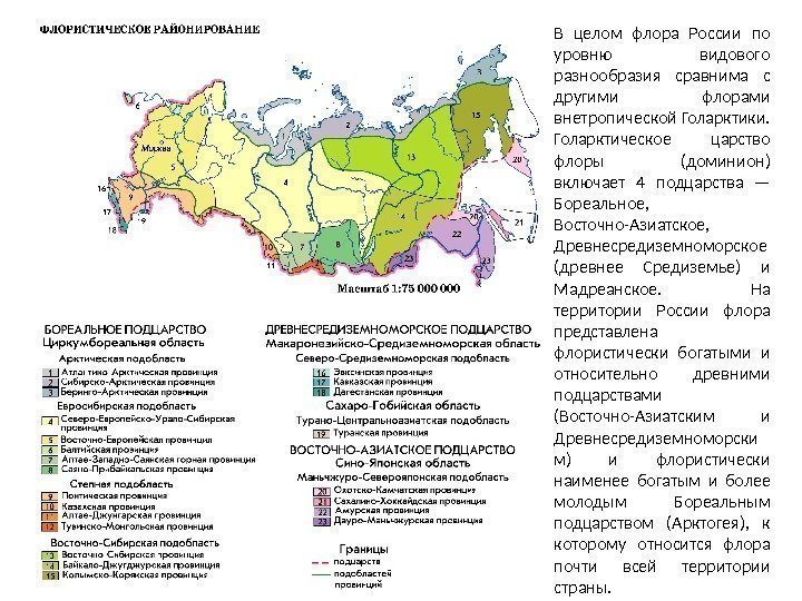 В целом флора России по уровню видового разнообразия сравнима с другими флорами внетропической Голарктики.