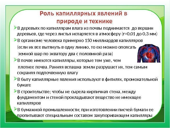 Капиллярные явления