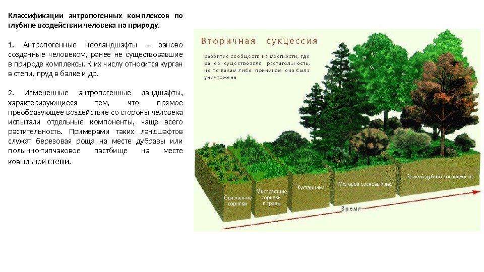 Назовите способ улучшения антропогенного ландшафта который представлен на рисунке 7