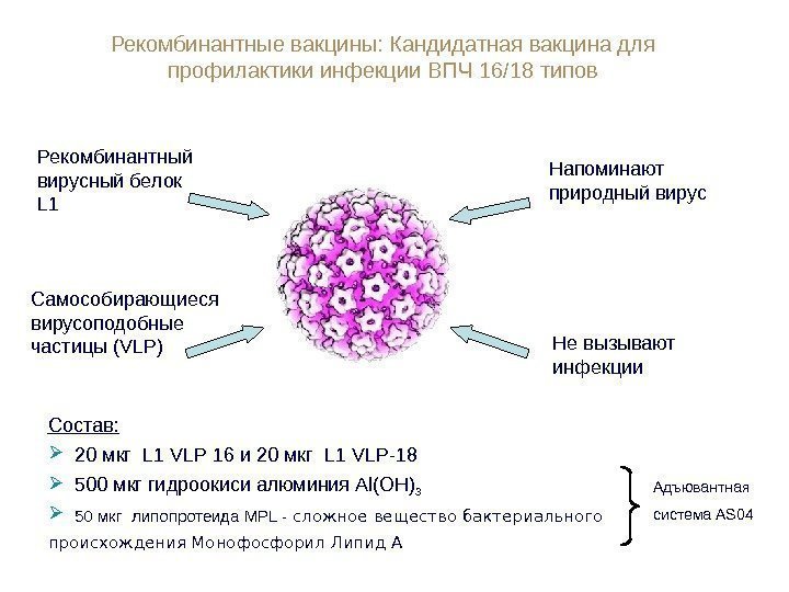   Рекомбинантные вакцины: Кандидатная вакцина для профилактики инфекции ВПЧ 16/18 типов Рекомбинантный вирусный