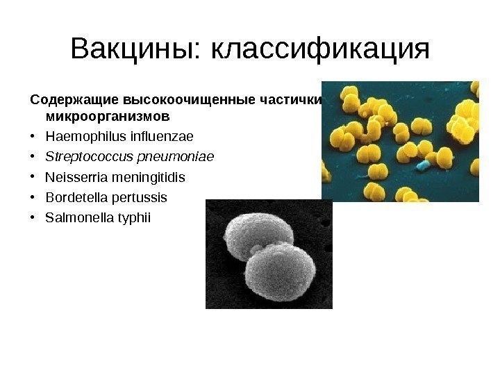 Вирус дика. Bordetella pertussis систематика. Классификация вакцин. Гемофилы классификация микробиология. Инактивированные микроорганизмы.