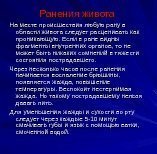 Ранения живота На месте происшествия любую рану в области живота следует расценивать как проникающую.