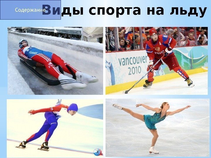 Виды спорта на льду 