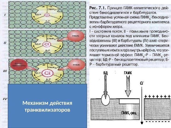 Механизм действия транквилизаторов 