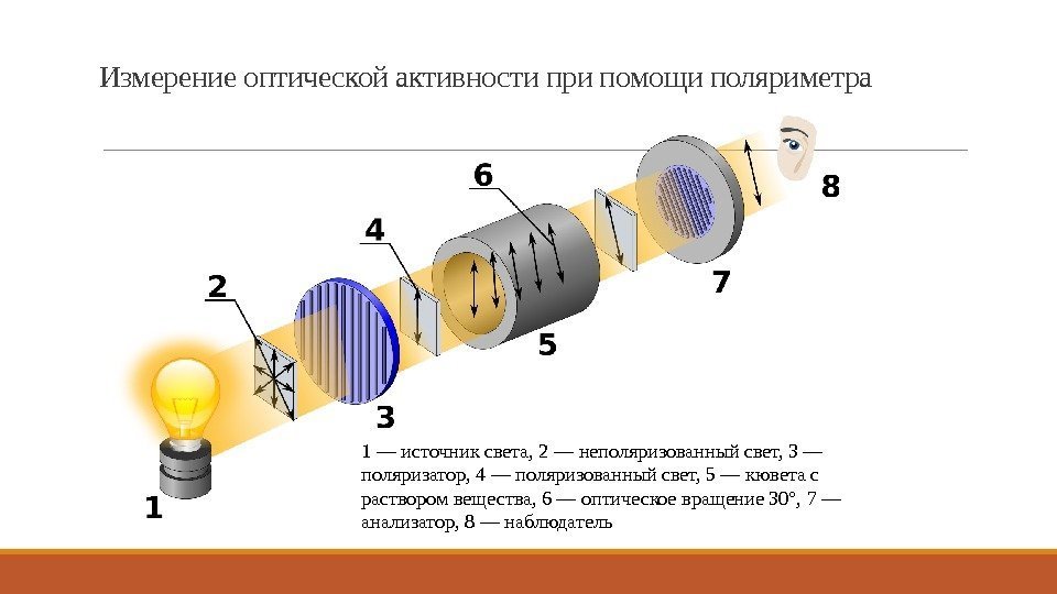 Измерение оптической активности при помощи поляриметра 1 — источник света, 2 — неполяризованный свет,