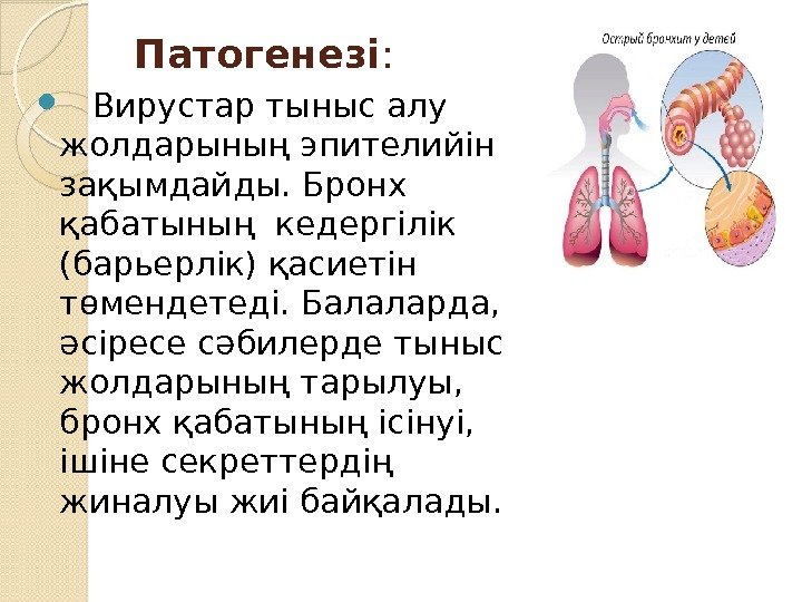 Бронхит презентация по биологии