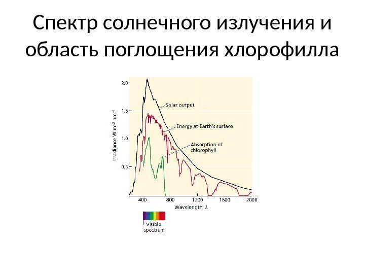 Спектр солнечного излучения и область поглощения хлорофилла 