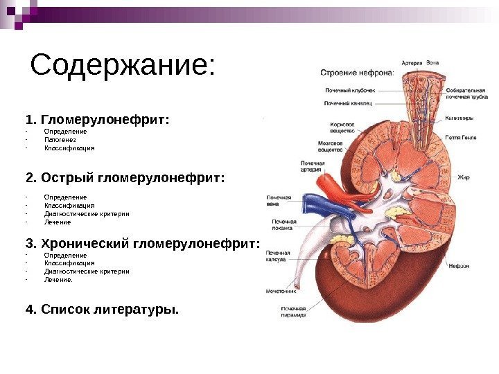   Содержание: 1. Гломерулонефрит: - Определение - Патогенез - Классификация 2. Острый гломерулонефрит: