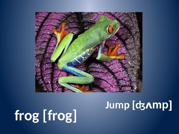  frog [frog] Jump [ ʤ mp]ᴧ 