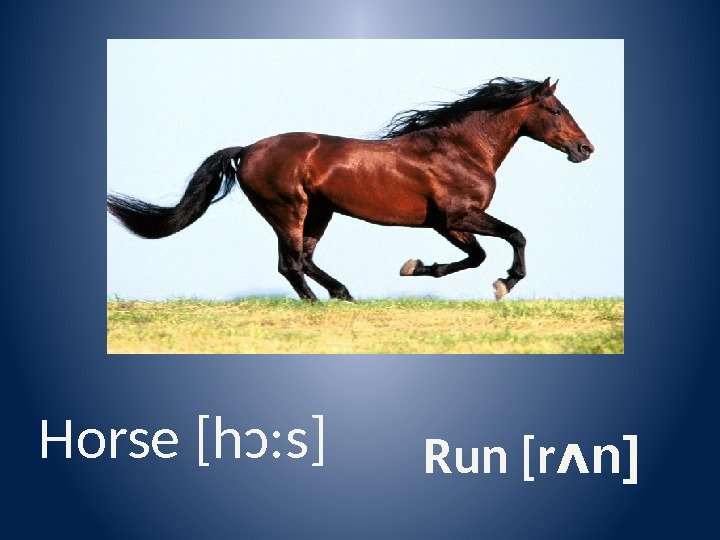 Horse [h ɔ: s] Run [r n]ᴧ 