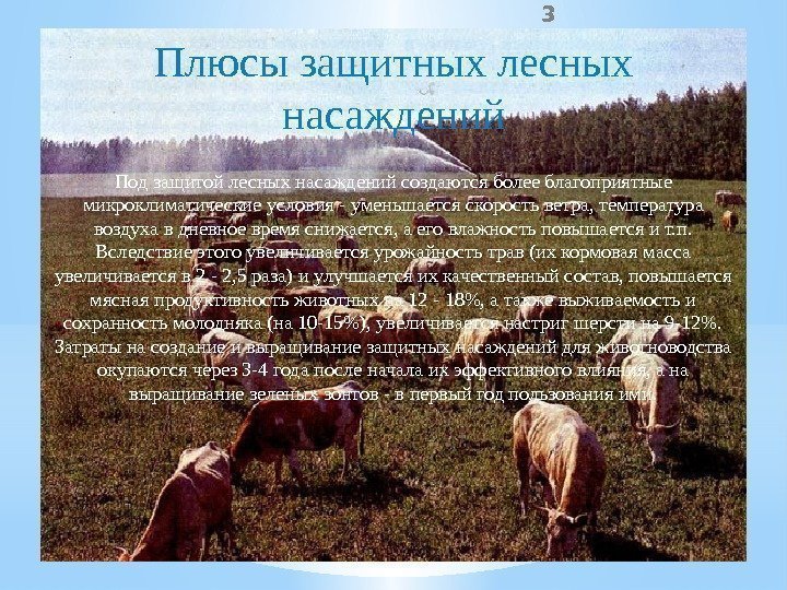 3 Под защитой лесных насаждений создаются более благоприятные микроклиматические условия - уменьшается скорость ветра,