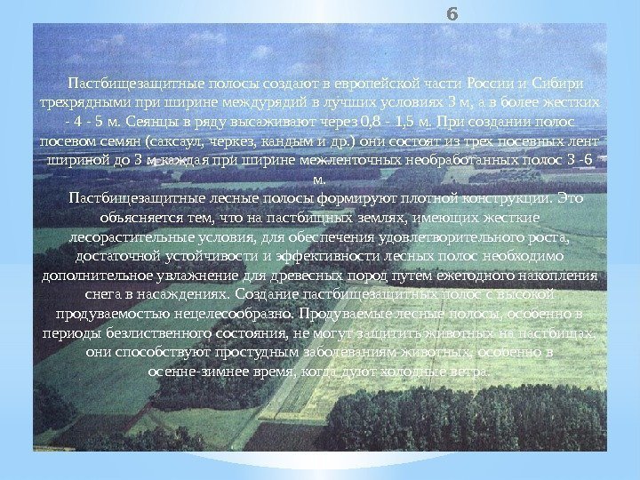 6 Пастбищезащитные полосы создают в европейской части России и Сибири трехрядными при ширине междурядий