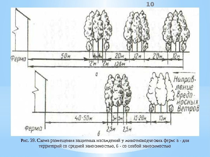 10 Рис. 39. Схема размещения защитных насаждений у животноводческих ферм: а - для территорий