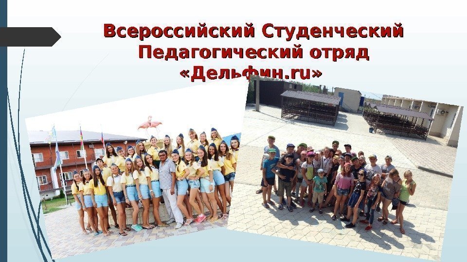 Всероссийский Студенческий Педагогический отряд  «Дельфин. ruru » »    