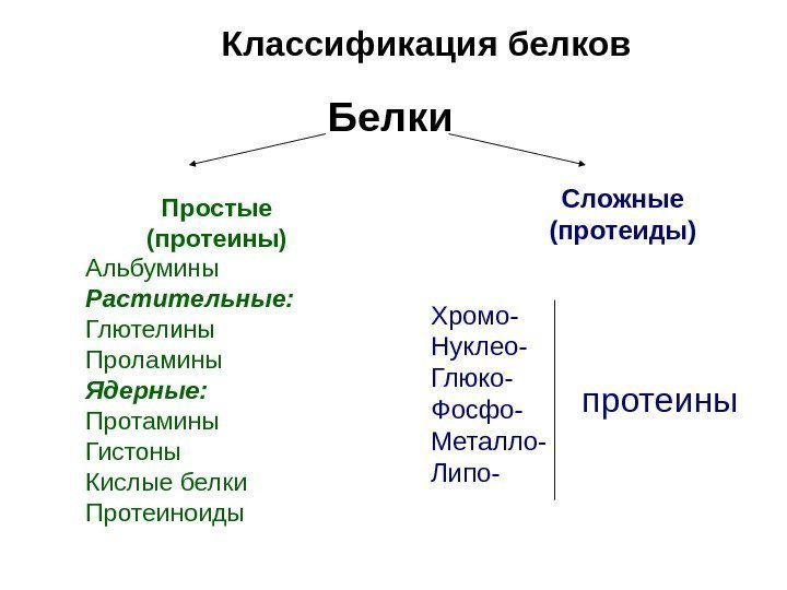   Белки Простые (протеины) Альбумины Растительные: Глютелины Проламины Ядерные: Протамины Гистоны Кислые белки